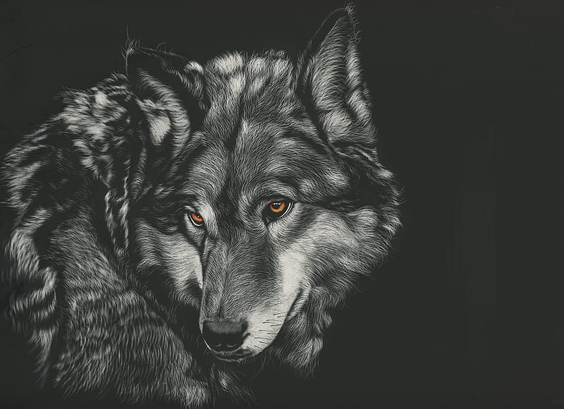 Wolf Painting , wolf, painting, animals, monochrome, black-and-white, HD wallpaper