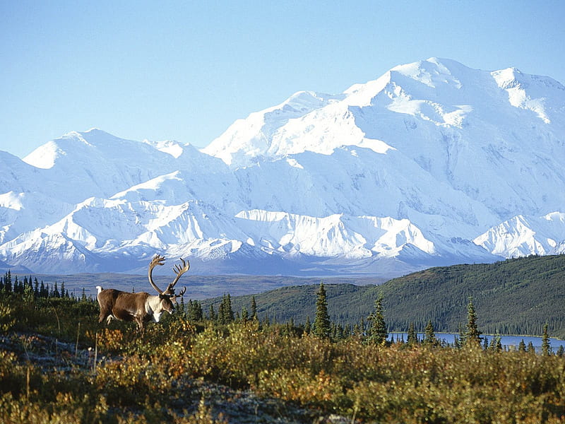 Parque nacional do Alaska, bonita, nature, montanhas, parque, ceu, HD wallpaper
