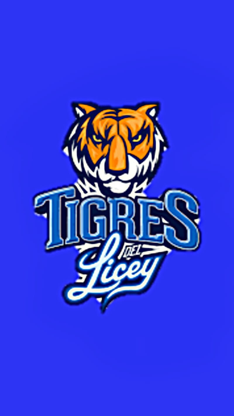 Tigres del licey , lidom, team, HD phone wallpaper
