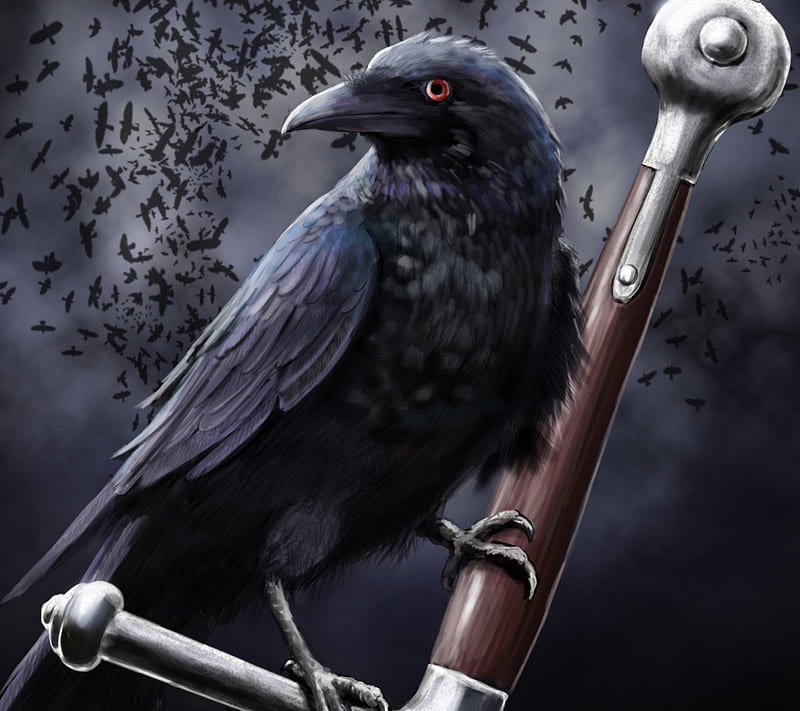 Raven and Sword, battle, bird, black, blade, crow, dark, guerra, HD wallpaper