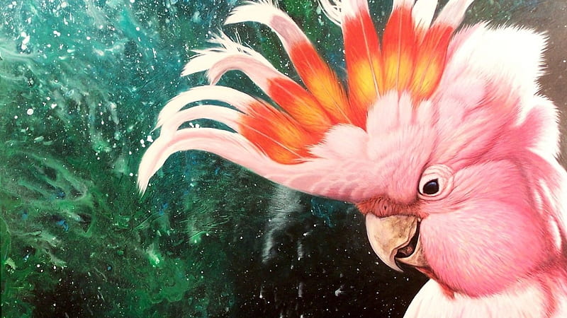 birds-feather-red-art-cockatoo-bird-pink-parrot-big-s, rose, Deutschland, Oransch, Kakadu, HD wallpaper