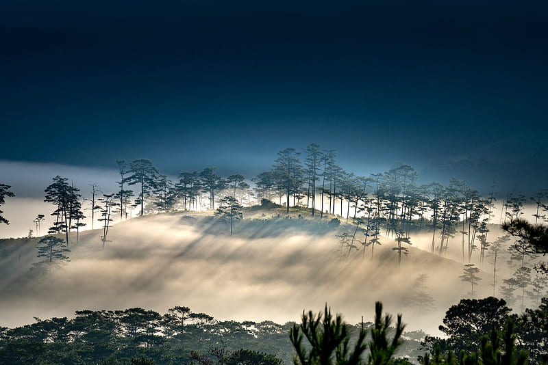 Foggy Morning Hills , nature, morning, mountains, HD wallpaper