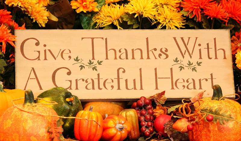 Thanksgiving Still Life, Fall, fruit, grapes, still life, Thanksgiving, berries, flowers, vegetables, Autumn, peppers, pumpkins, HD wallpaper