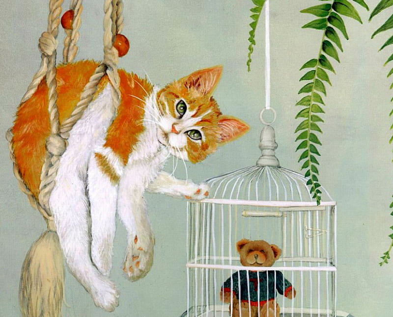 Cute cat, cute, cage, teddy bear, cat, animals, HD wallpaper