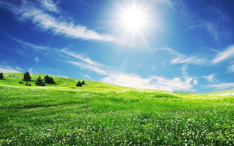 Spring Sun, sun, grass, white clouds, spring, sky, skies, nature, fields, blue, HD wallpaper