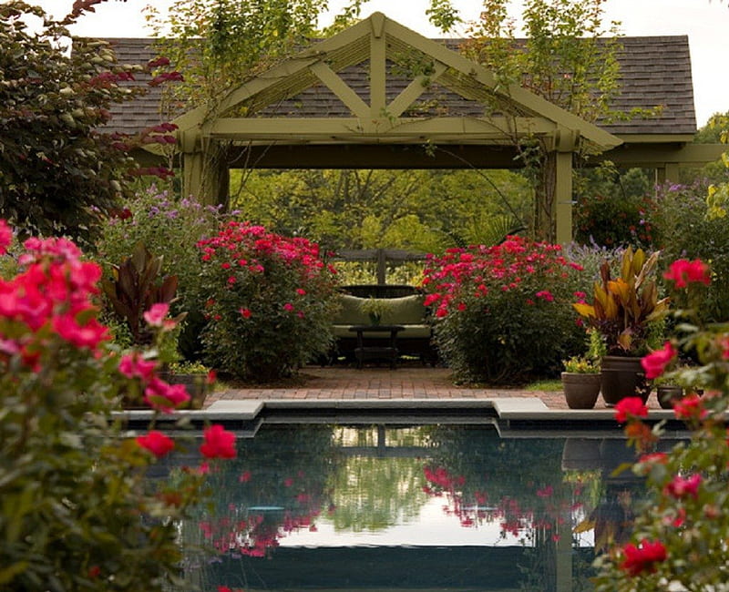 Beautiful Place, nature, swimming pool, rose garden, garden outdoor, HD wallpaper