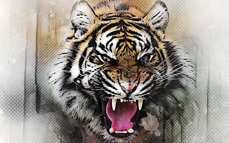 abstract tiger, artwork, angry tiger, grunge art, creative, tiger, HD wallpaper
