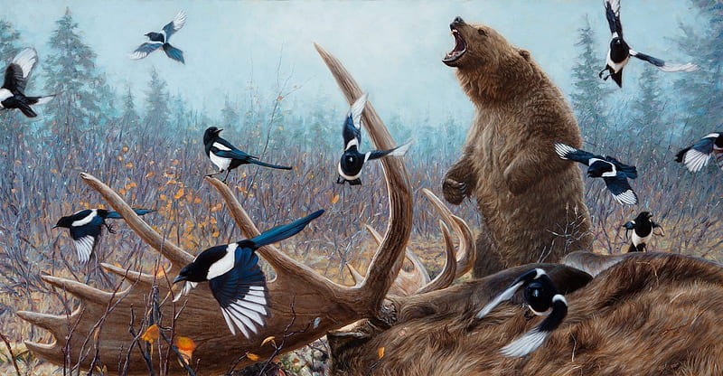 Grizzly encounter, art, grizlly, urs, bird, bear, pasari, painting, pictura, john banovich, HD wallpaper