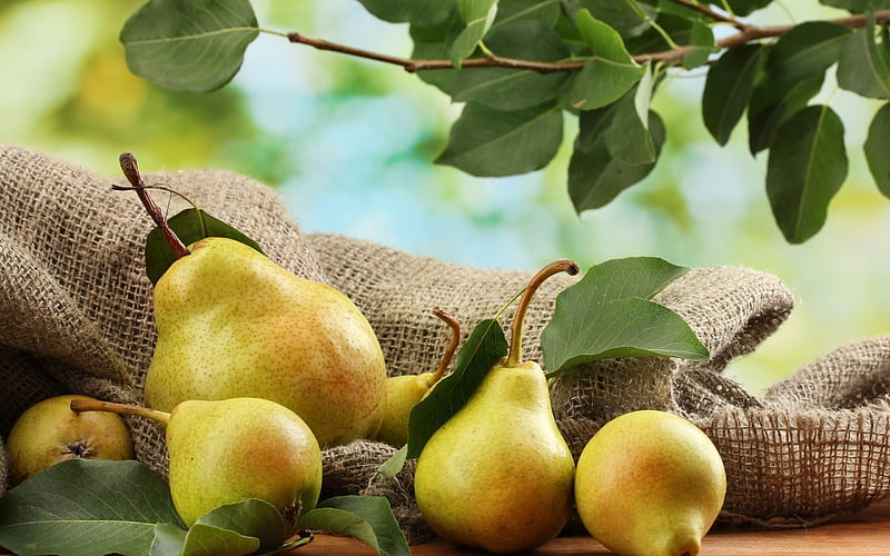 pears, fruit, ripe pear, HD wallpaper