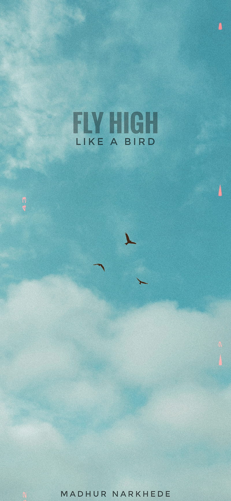 Fly high , birds, clouds, HD phone wallpaper