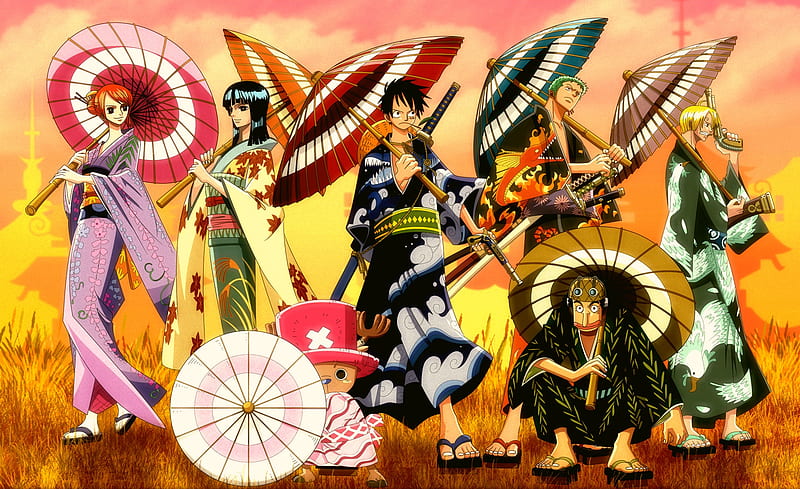 Luffy, Zoro, Lie Busanji, Nami, Chopper, Robin, and Merry HD One Piece  Fighting Path Wallpapers, HD Wallpapers