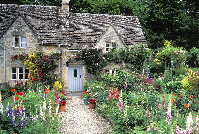 English Cottage Garden Cotswolds, house, cotswolds, cottage, britain, quaint, countryside, english, flowers, rural, lupins, british, england, foxgloves, uk, cute, united kingdom, garden, HD wallpaper
