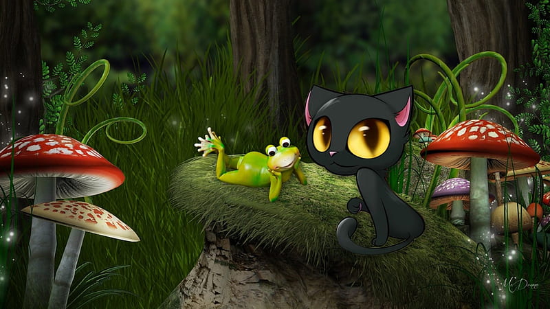 Black Cat and Frog, forest, grass, woods, big eyes, spring, cat, frog, summer, mushrooms, HD wallpaper
