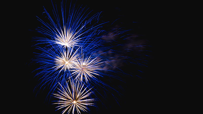 fireworks, salute, sky, sparks, holiday, HD wallpaper