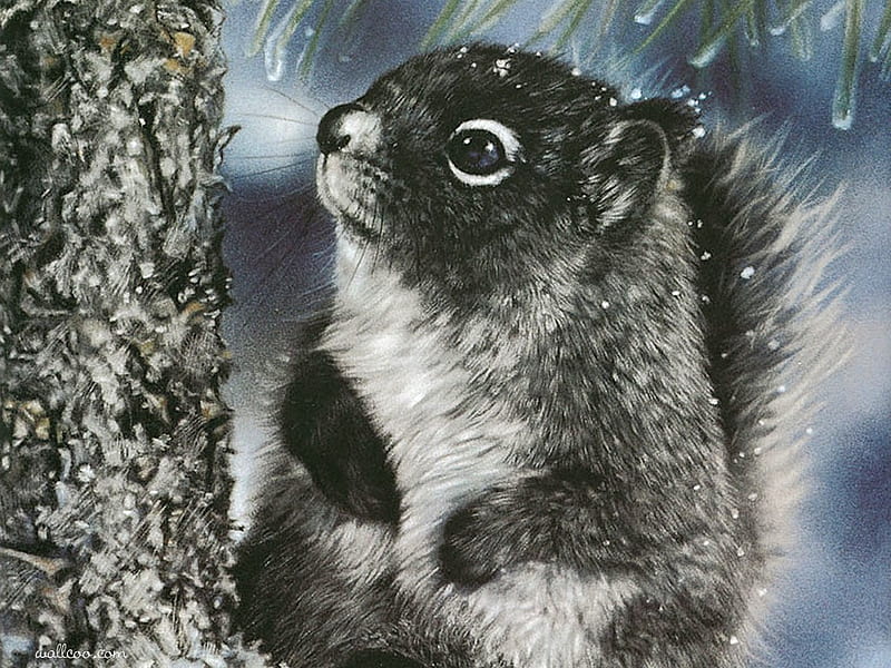 Squirrel, by Lesley Harrison, painting nature, art, squirrel, lesley harrison, HD wallpaper