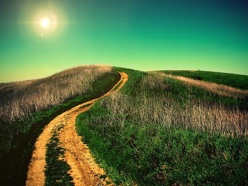 Uphill path, sun, uphill, grass, path, nature, land, road, HD wallpaper