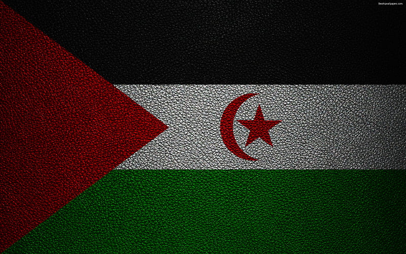 Flag of Western Sahara leather texture, Africa, flags of African countries, Western Sahara, HD wallpaper