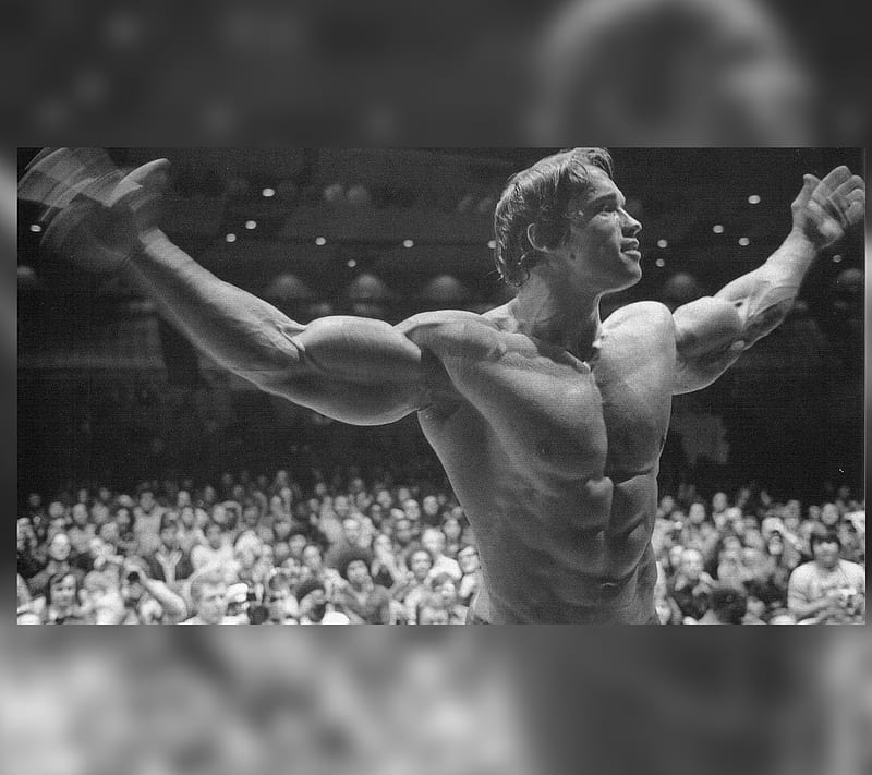 Arnold Fitness, arnold, bodybuilding, fitness, schwarzenegger, HD wallpaper
