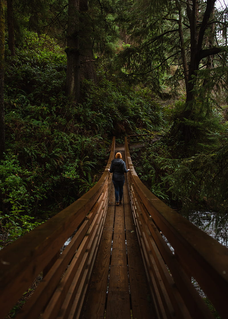 bridge, person, forest, nature, HD phone wallpaper