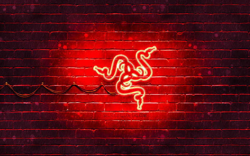 Razer red logo red brickwall, Razer logo, brands, Razer neon logo, Razer, HD wallpaper