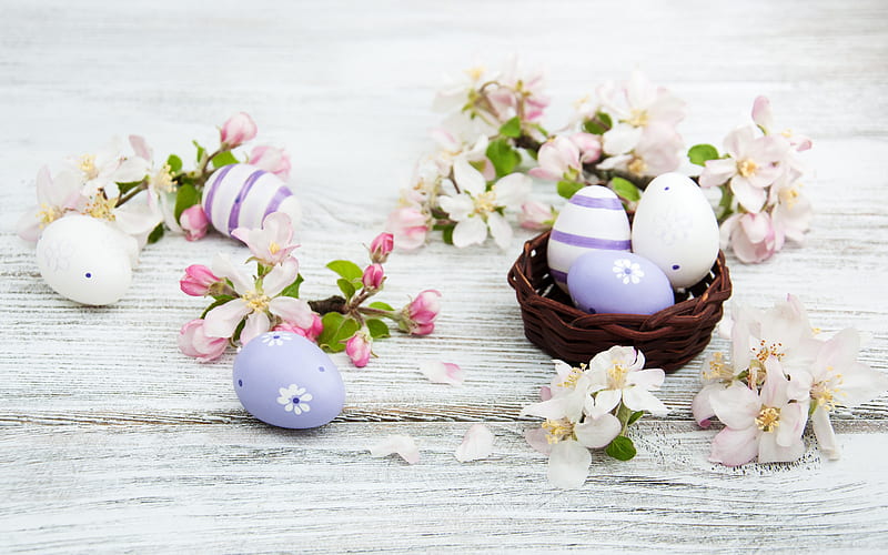 Easter eggs, spring background, white wooden background, Easter decoration, spring flowers, Easter, HD wallpaper