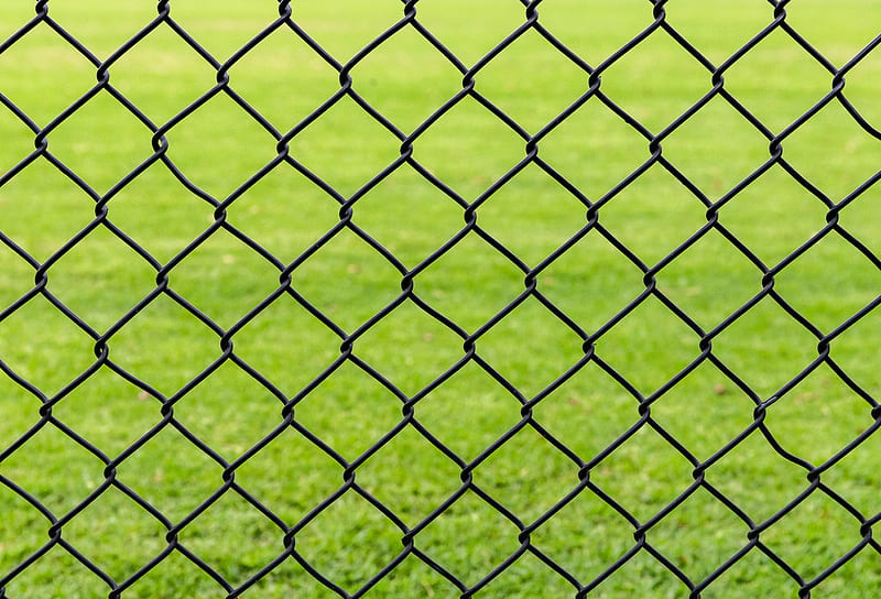 lattice, fence, iron, grass, HD wallpaper