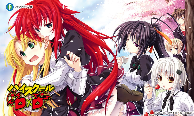 HighSchool dxd, cute, girls, anime, characters, HD wallpaper