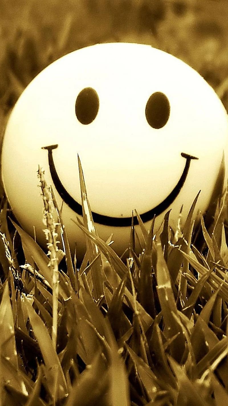 Whatsapp Dp, smile ball dp whatsapp, smile, ball, HD phone wallpaper