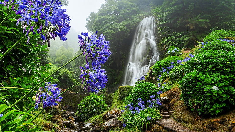 Waterfall at Sao Miguel Island, Azores, Portugal, trees, flowers, water, cascade, river, HD wallpaper