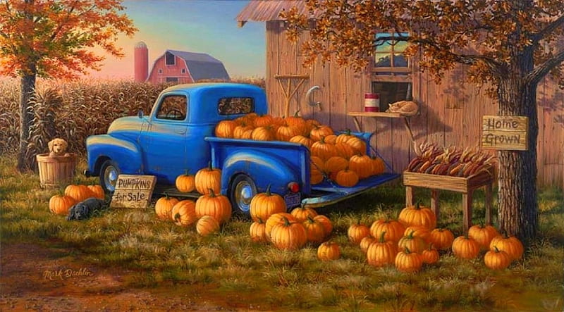 Pumpkins for Sales, fall season, autumn, harvest, colors, love four seasons, panoramic view, farms, attractions in dreams, paintings, truck, pumpkins, HD wallpaper