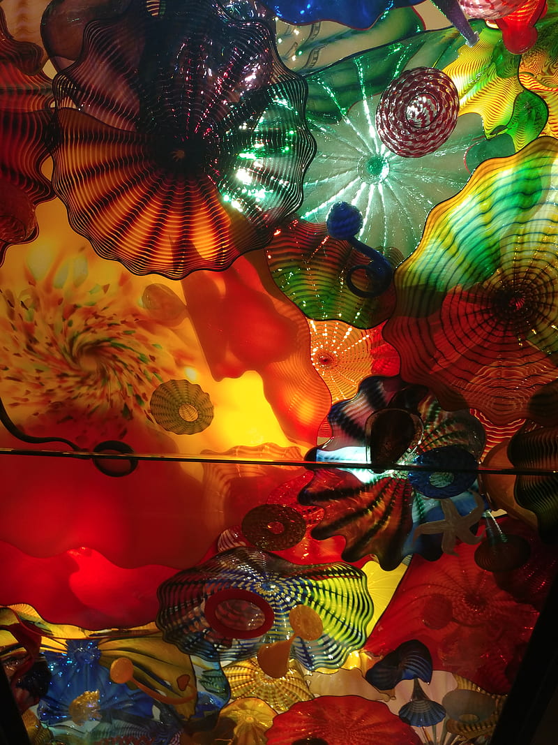Glass ceiling, chihuly, rainbow, seattle, HD phone wallpaper