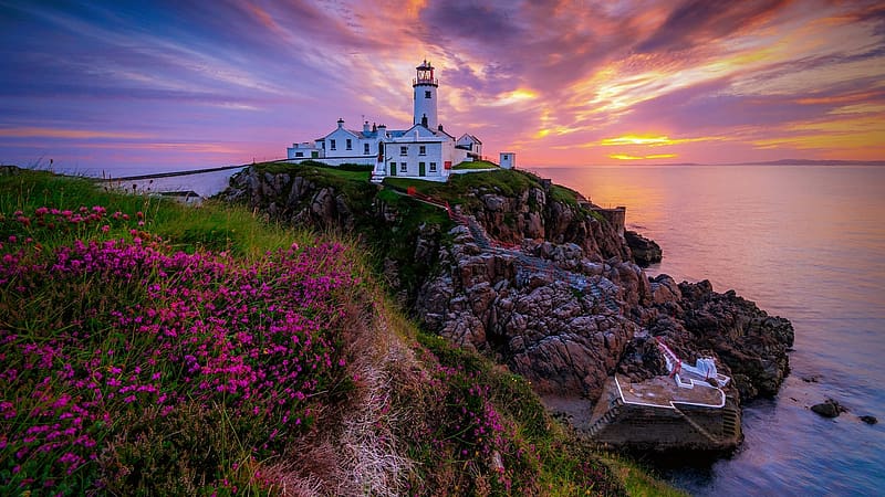 Fanad Head Lighthouse, eninsula, sea, horizon, lighthouse, beautiful, peninsula, rocks, spring, wildflowers, summer, sky, water, sunset, Ireland, HD wallpaper