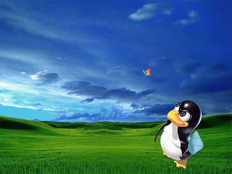 Technology, Penguin, Linux, HD wallpaper