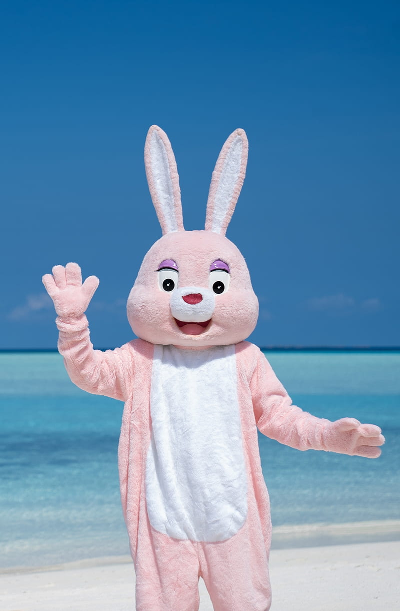 Say.... CHEEEEESEEE , beach, blue sky, easter egg bunny rabbit pink cute fun funny high quality marvin the easter bunny trending popular new fresh, holiday, ocean, smile happy, summer, sunny bts, HD phone wallpaper