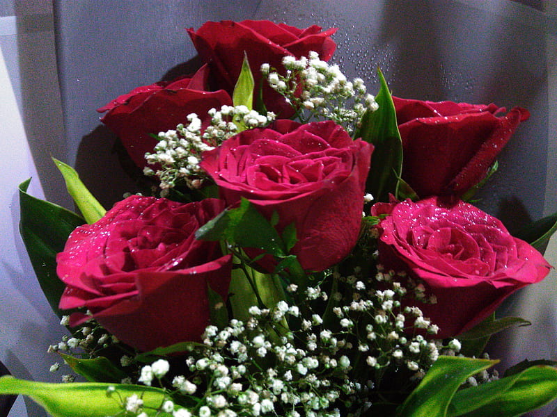 Flowers love, birtay, bouquet, happy, happy birtay cupcake, nature, rose, roses, HD wallpaper