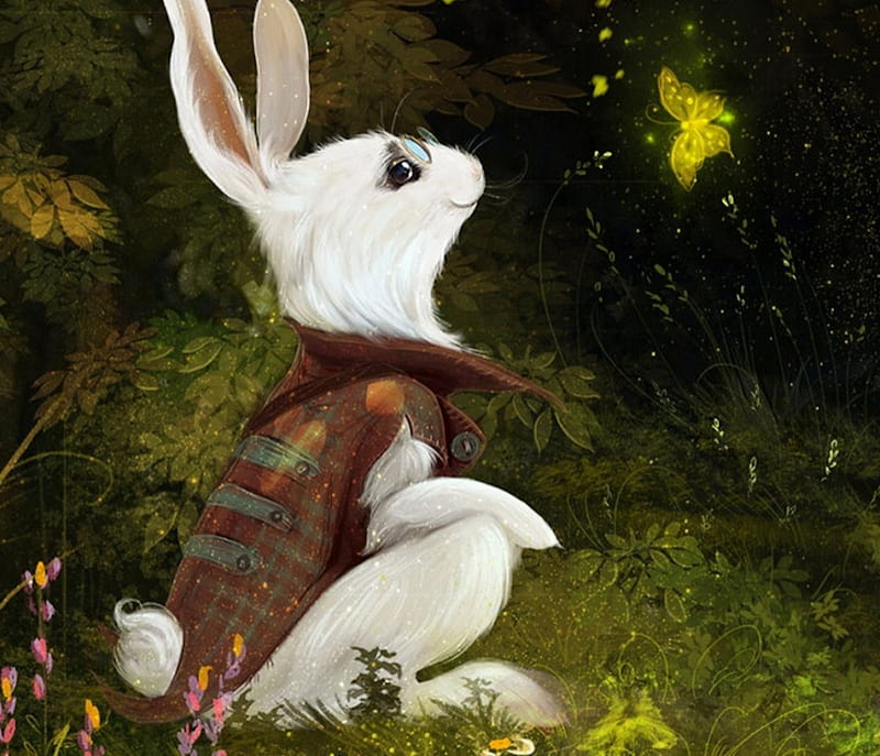Cute white Rabbit, cute, Art, white, Rabbit, HD wallpaper