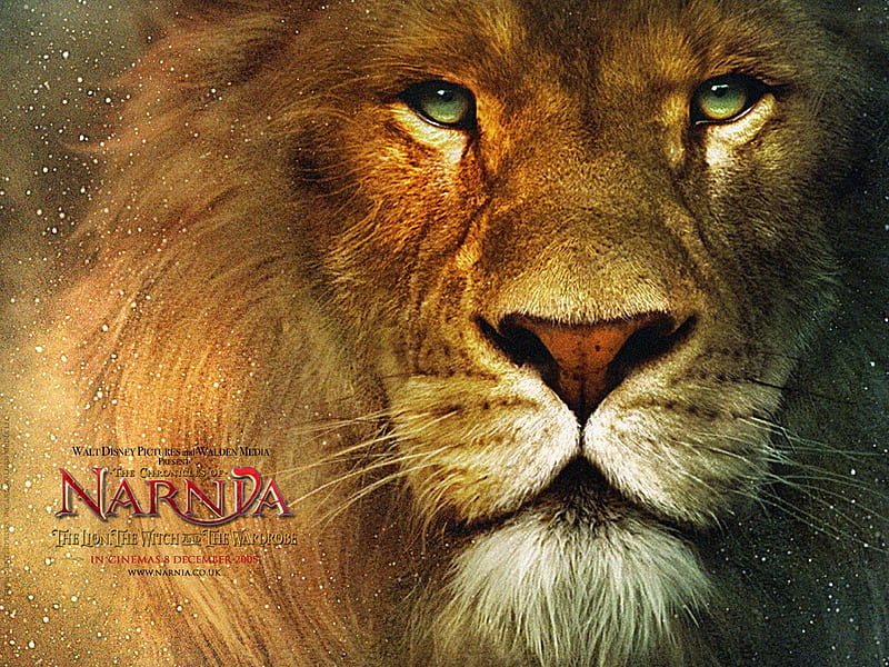 Download Aslan In Narnia Dawn Treader Desktop Background Desktop