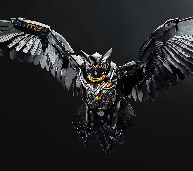 Owl, metal, robot, steel, technology, wings, HD wallpaper