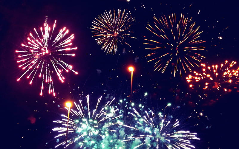 fireworks, night sky, bright explosions, HD wallpaper