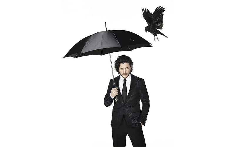 Kit Harington, bird, pasare, black, umbrella, man, white, actor, HD wallpaper