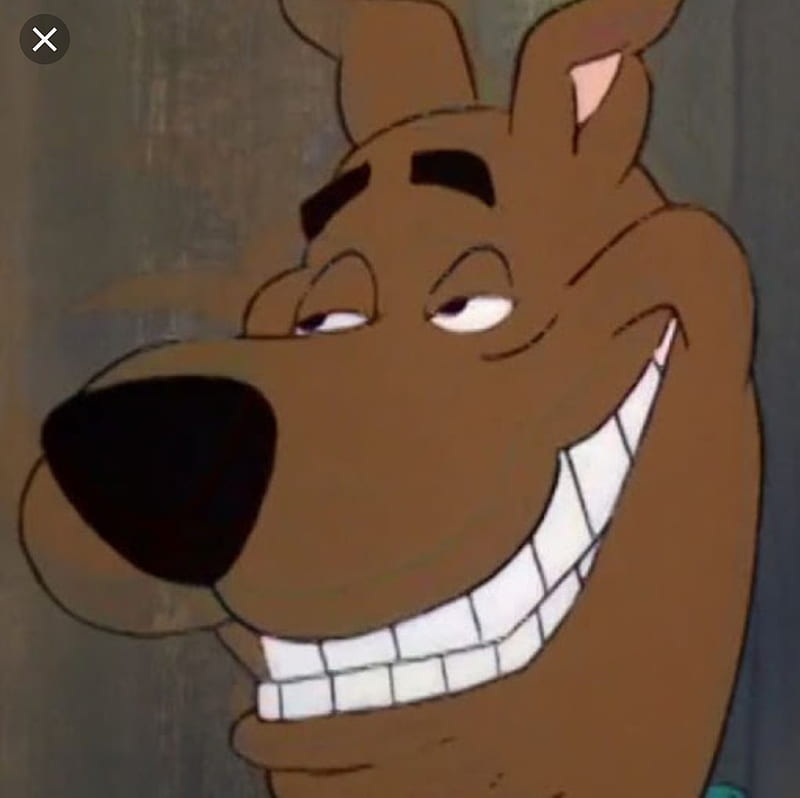 Scooby meme, HD wallpaper