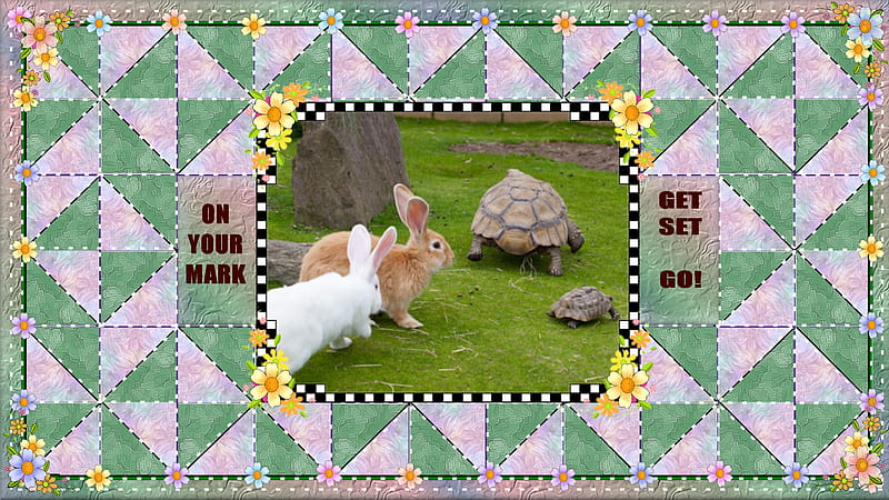 Get Set-Go, race, hare, quilting, tortoise, HD wallpaper