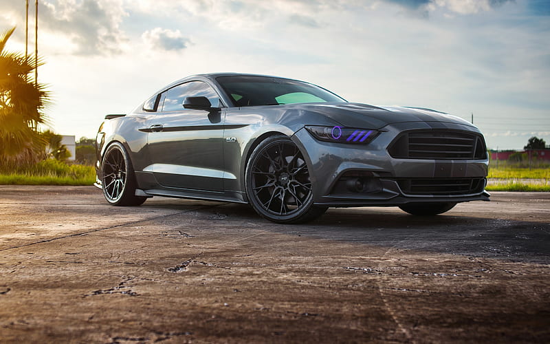 Ford Mustang, 2017, gray sports coupe, tuning, purple headlights, black wheels Niche wheels, HD wallpaper