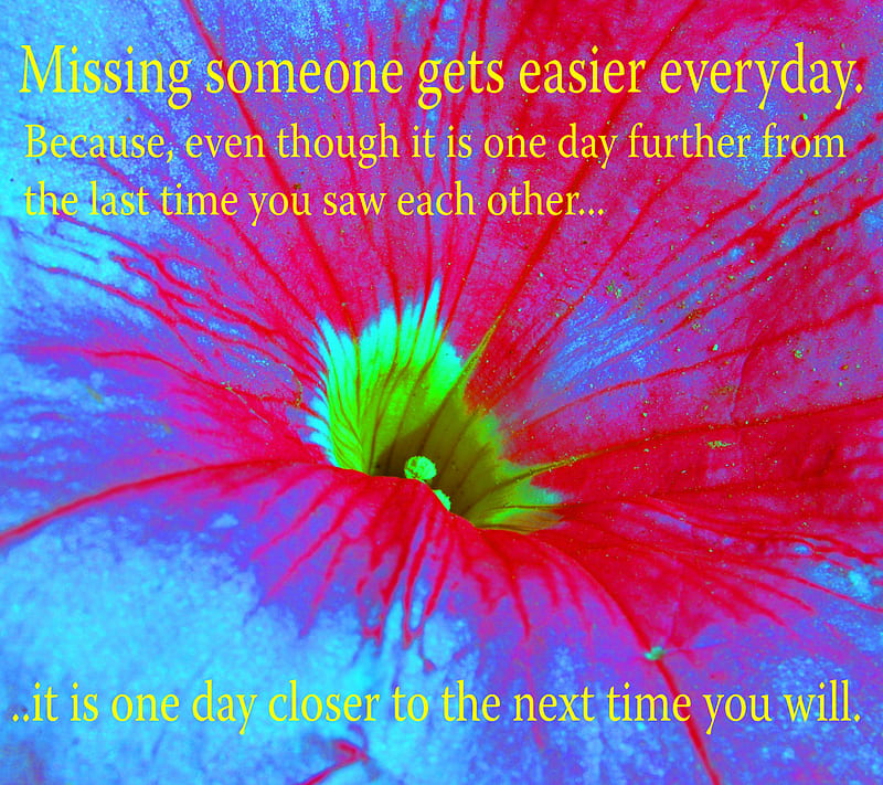 It Gets Easier, closer, day, easier, further, gets, missing, one, neko, time, will, HD wallpaper