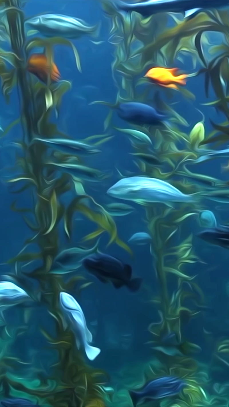 Fish in ocean, aquarium, HD phone wallpaper | Peakpx