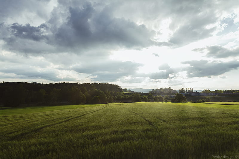 field, grass, horizon, clouds, trees, landscape, wolfsbach, bavaria, germany, HD wallpaper