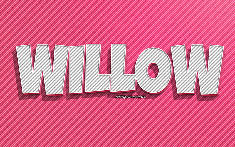 Willow, pink lines background, with names, Willow name, female names, Willow greeting card, line art, with Willow name, HD wallpaper