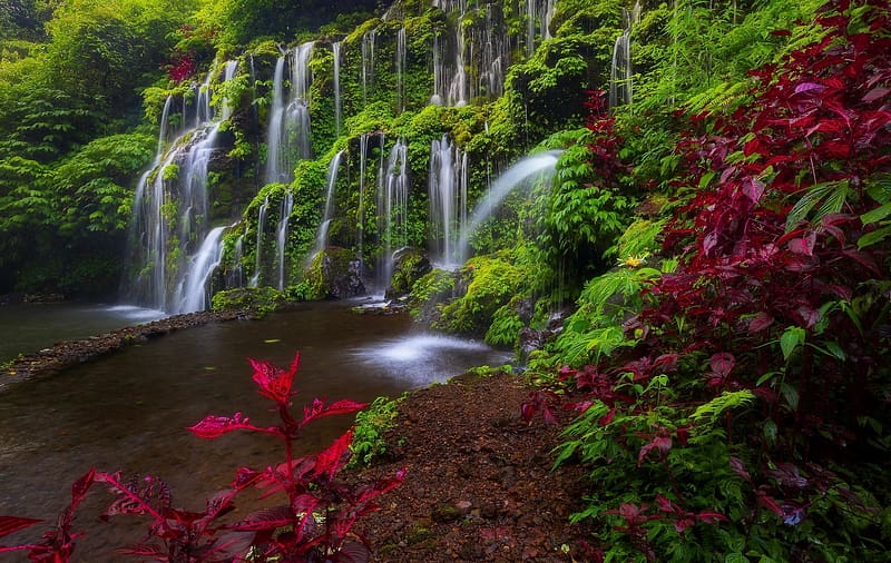 Amertha Falls, exotic, fall, greenery, waterfall, beautiful, Indonesia, Bali, plants, serenity, forest, HD wallpaper