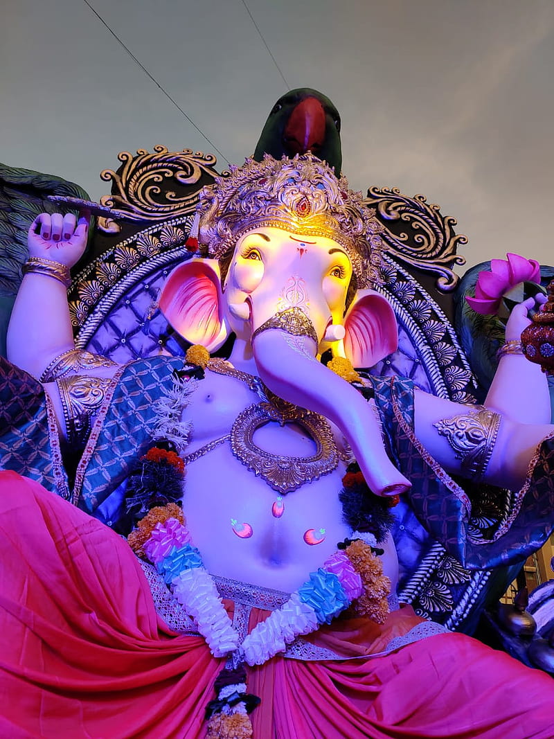 Ganesha navsari, bappa, ganesh chaturthi, ganesha, ganesha , ganpati, ganpati , lord ganehsa, navsari, HD phone wallpaper