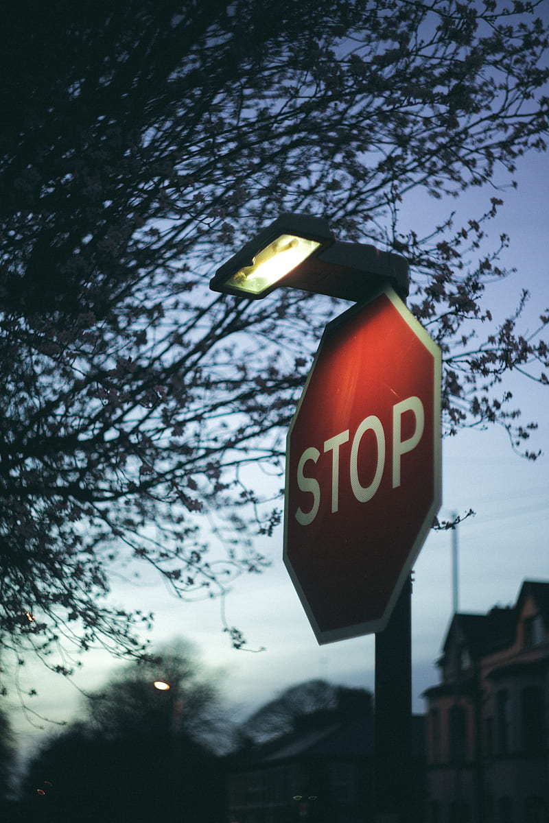 sign, stop, lantern, branch, HD phone wallpaper